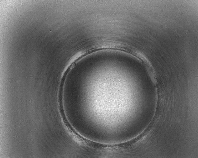 X0000062631138200512231006