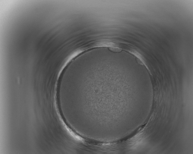 X0000062631139200512231006