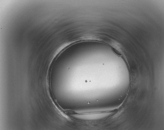 X0000062631141200512231006