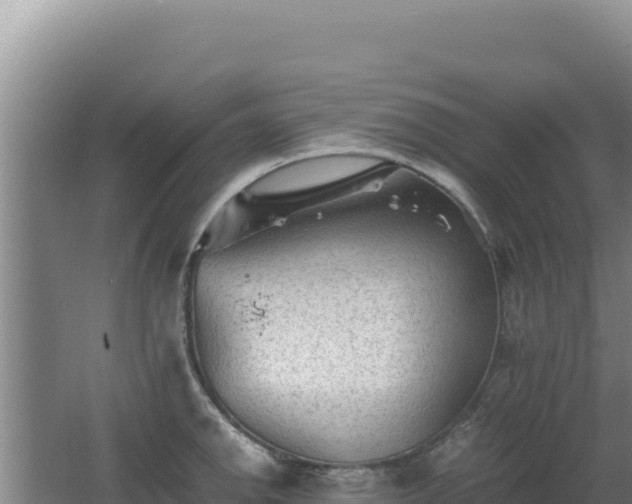 X0000062631142200512231006