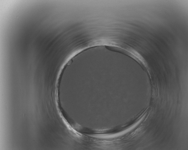 X0000062631144200512231006