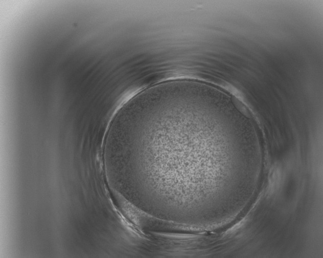 X0000062631145200512231006