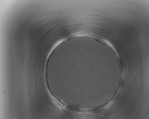 X0000062631146200512231006