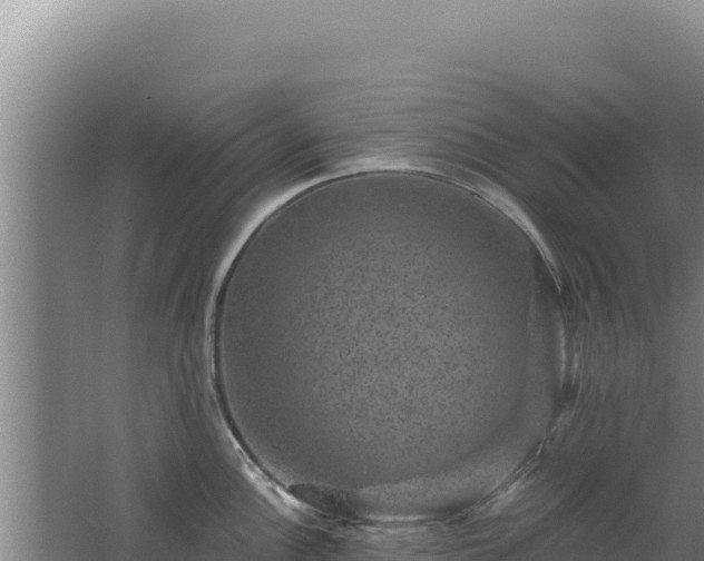 X0000062631148200512231006