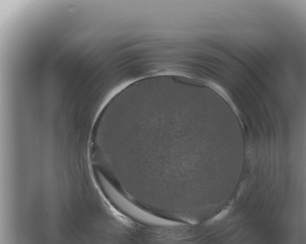 X0000062631149200512231006