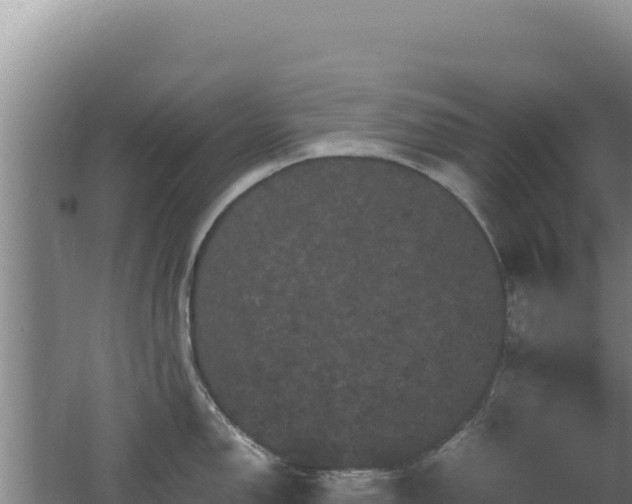 X0000062631150200512231006