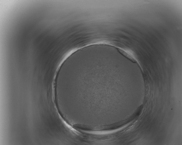 X0000062631151200512231006