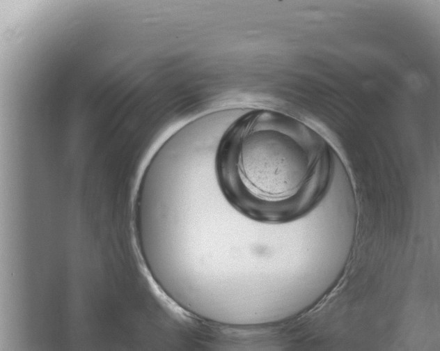 X0000062631152200512231006