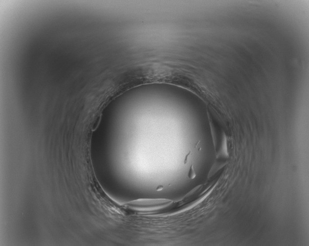 X0000062631153200512231005