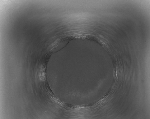 X0000062631154200512231005