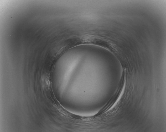 X0000062631155200512231005