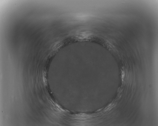 X0000062631156200512231005