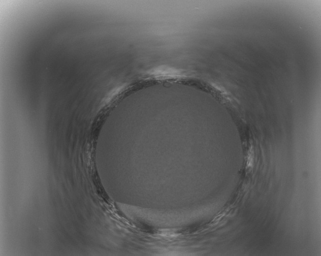 X0000062631157200512231005