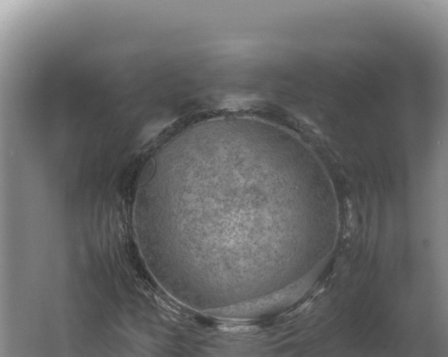 X0000062631158200512231005