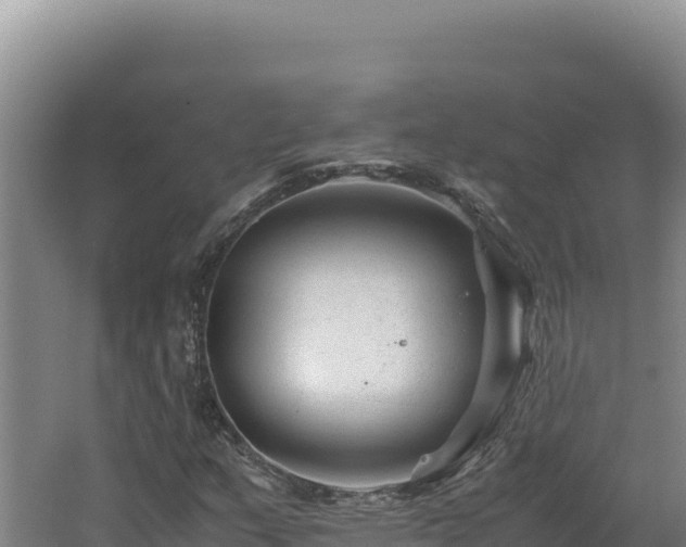 X0000062631159200512231005