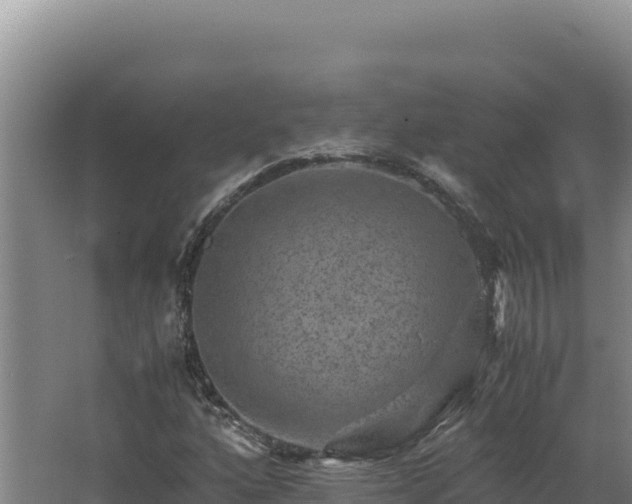 X0000062631160200512231005