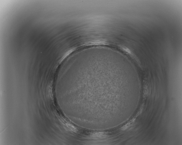 X0000062631162200512231005