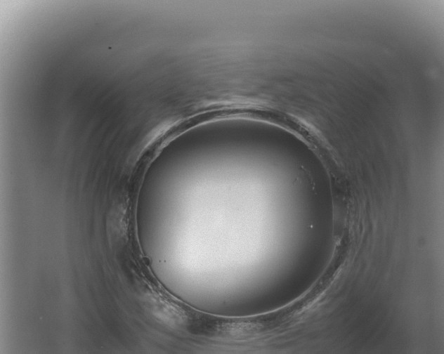 X0000062631163200512231005