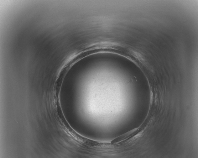 X0000062631164200512231005