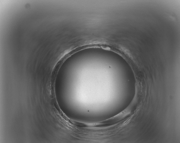 X0000062631165200512231005