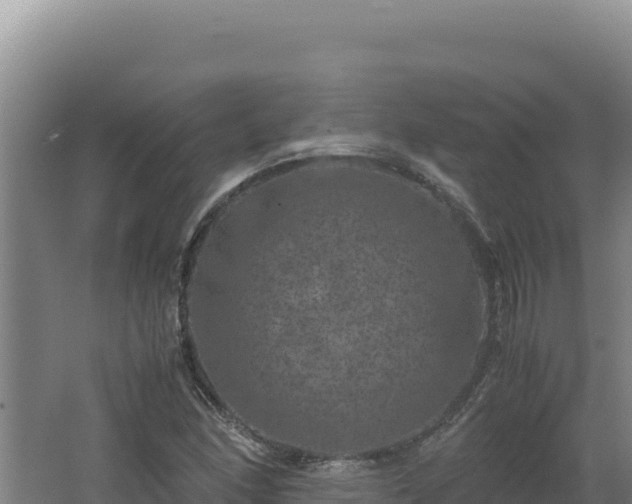 X0000062631166200512231005