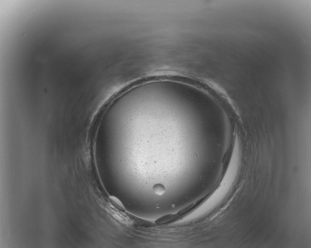 X0000062631167200512231005