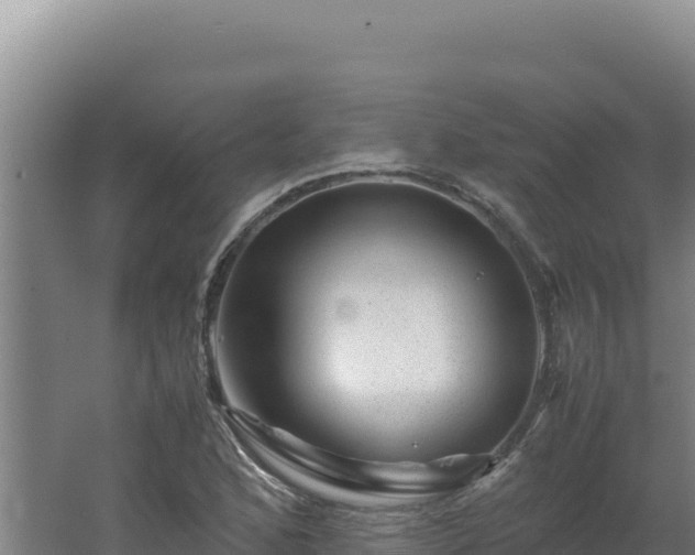 X0000062631168200512231005