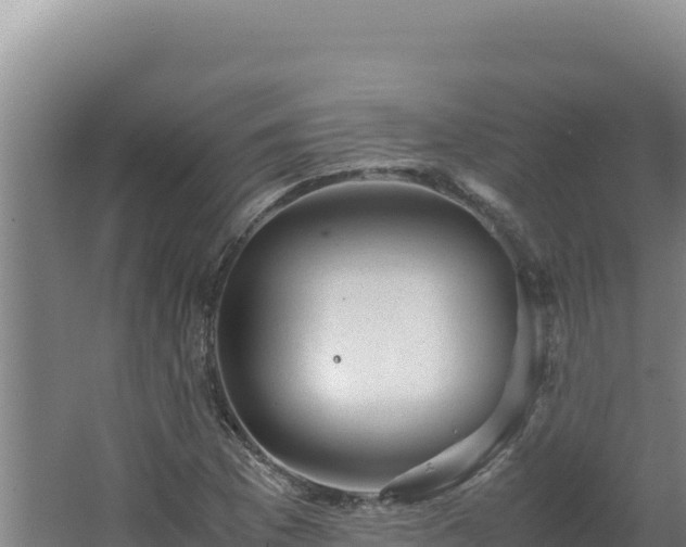 X0000062631169200512231005