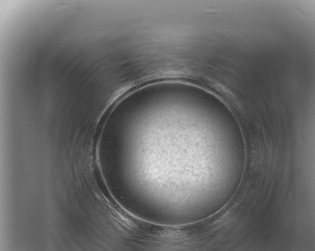 X0000062631170200512231005