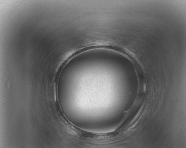 X0000062631171200512231005