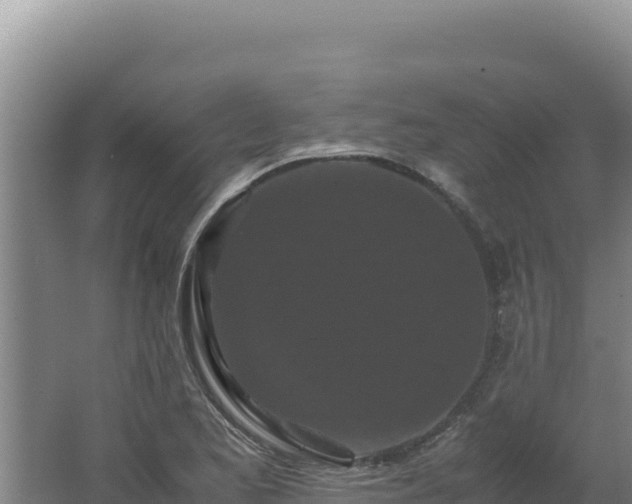 X0000062631173200512231005