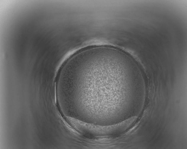 X0000062631175200512231005