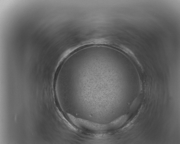 X0000062631176200512231005