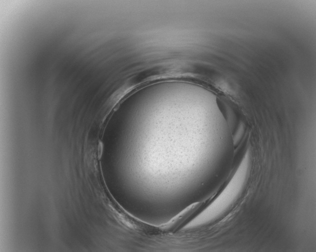 X0000062631177200512231005