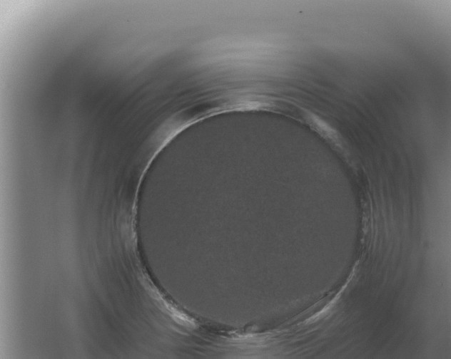 X0000062631178200512231005