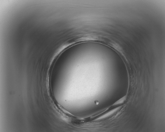 X0000062631179200512231005