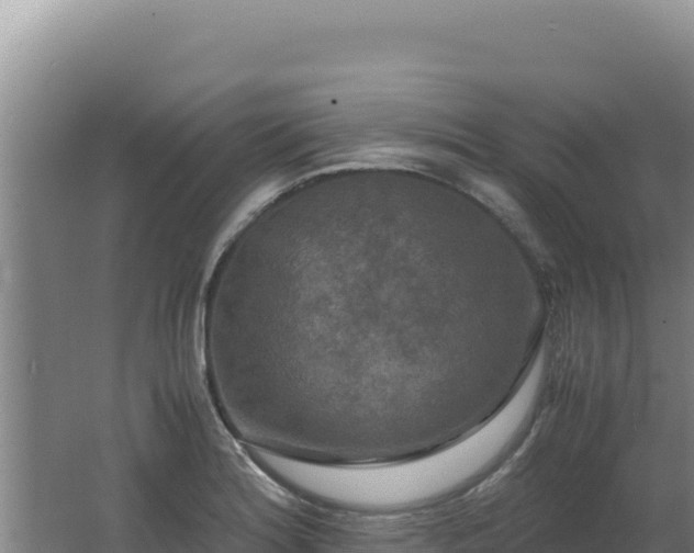 X0000062631180200512231005