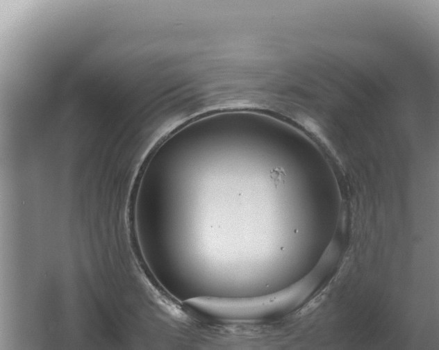 X0000062631181200512231005