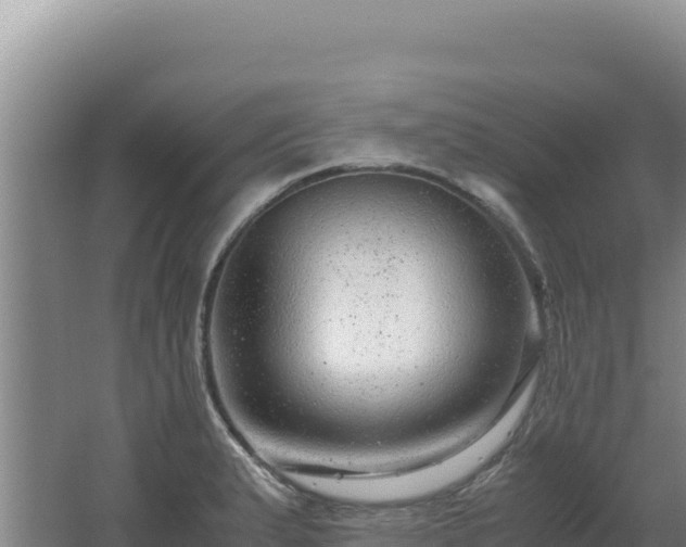 X0000062631183200512231005