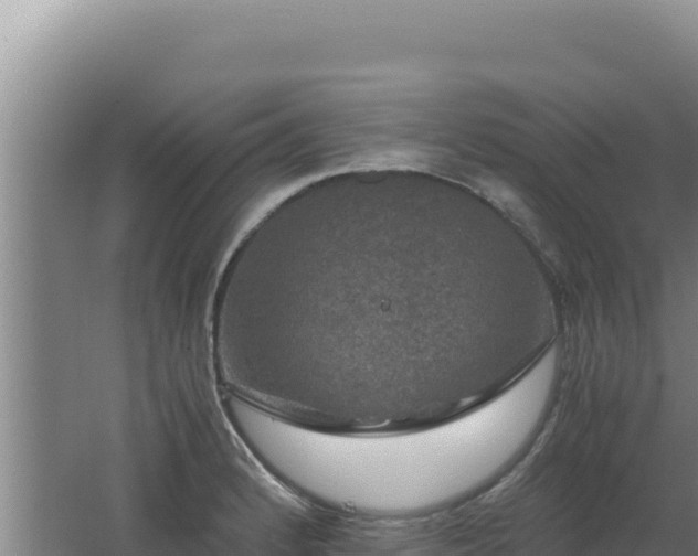 X0000062631184200512231005