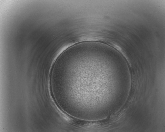 X0000062631187200512231005