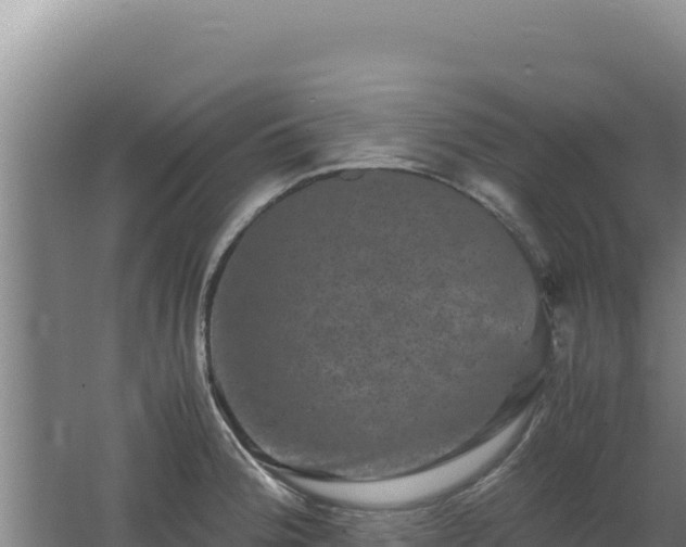 X0000062631188200512231005