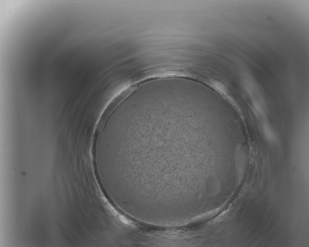 X0000062631189200512231005