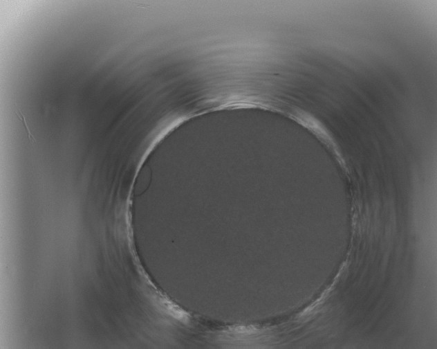 X0000062631190200512231005