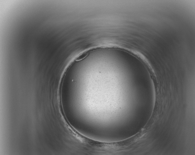 X0000062631191200512231005