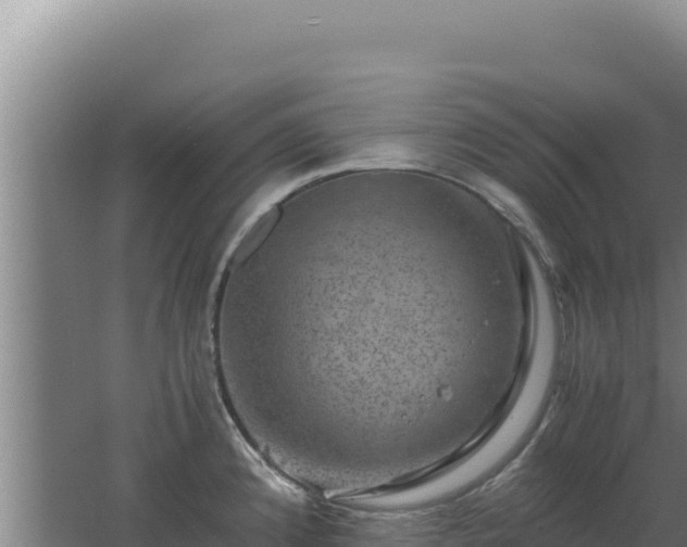 X0000062631192200512231005