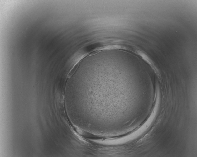 X0000062631193200512231005