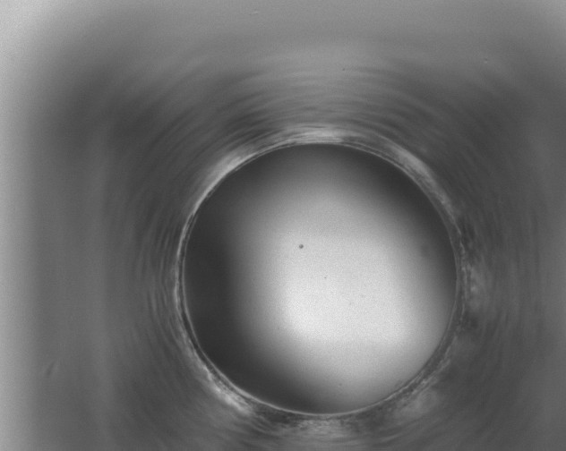 X0000062631194200512231005