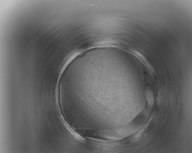 X0000062631196200512231005