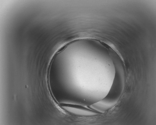 X0000062631197200512231005